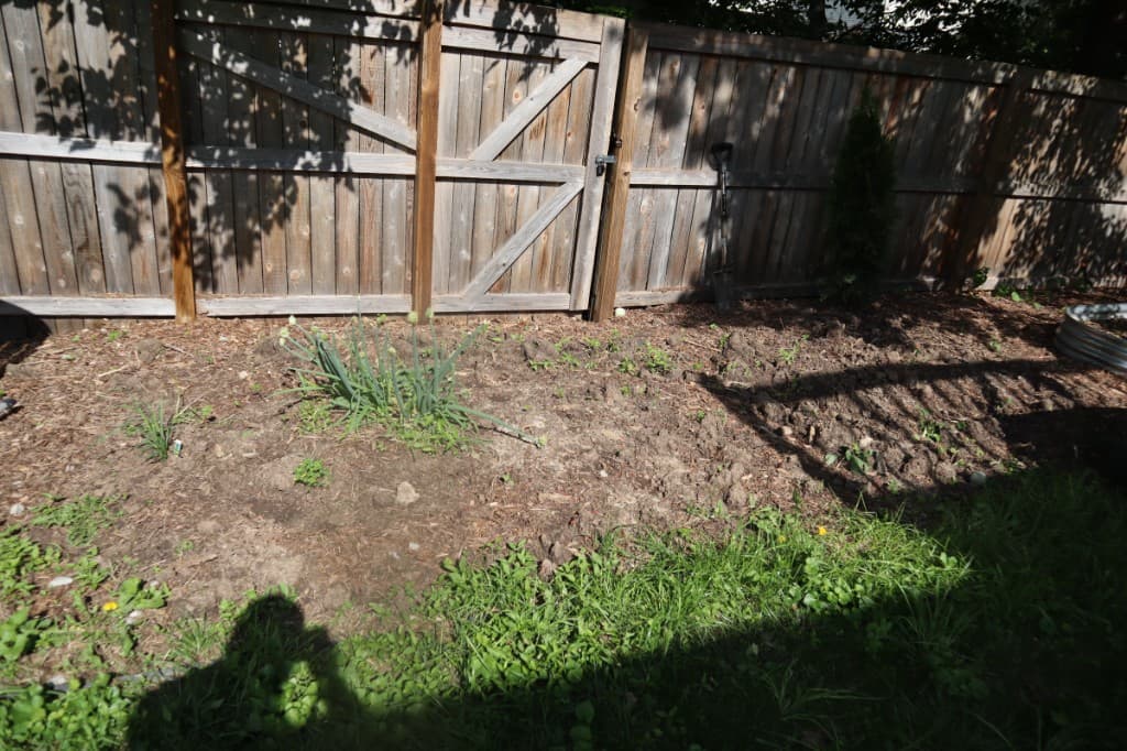 Real backyard photo before compositing, wooden fence and garden bed